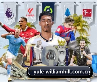 威廉希尔 APP（williamhill）